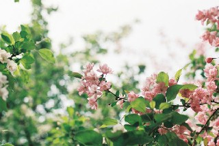 初三毕业学生，想读幼师专业怎么样