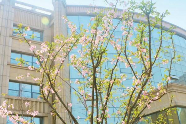 四川科华高级技工学校环境怎么样？