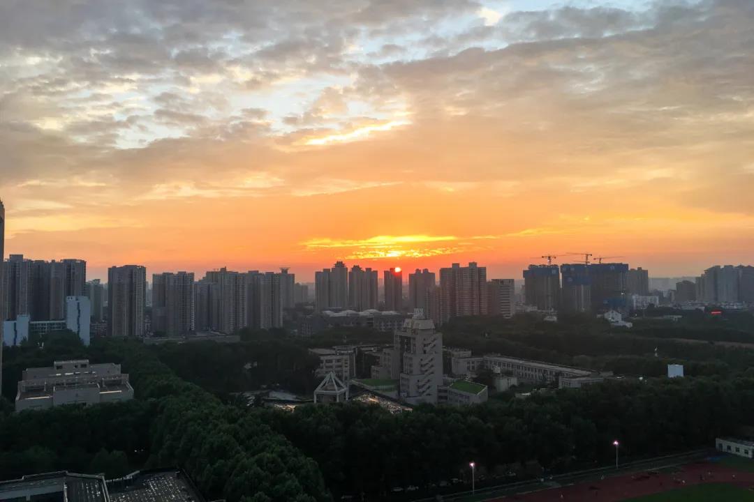 é¨åäº¤å¤§ç¾å¦ç»