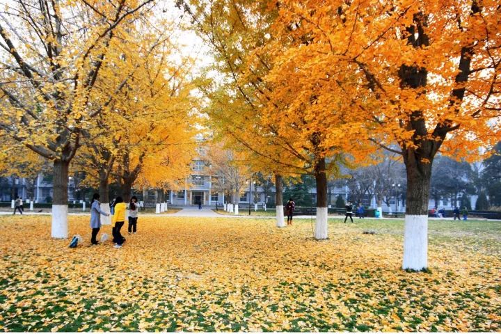 åäº¬çå·¥å¤§å­¦å¾ç åäº¬çå·¥å¤§å­¦æ ¡å­å¾ åå¤§åçç½