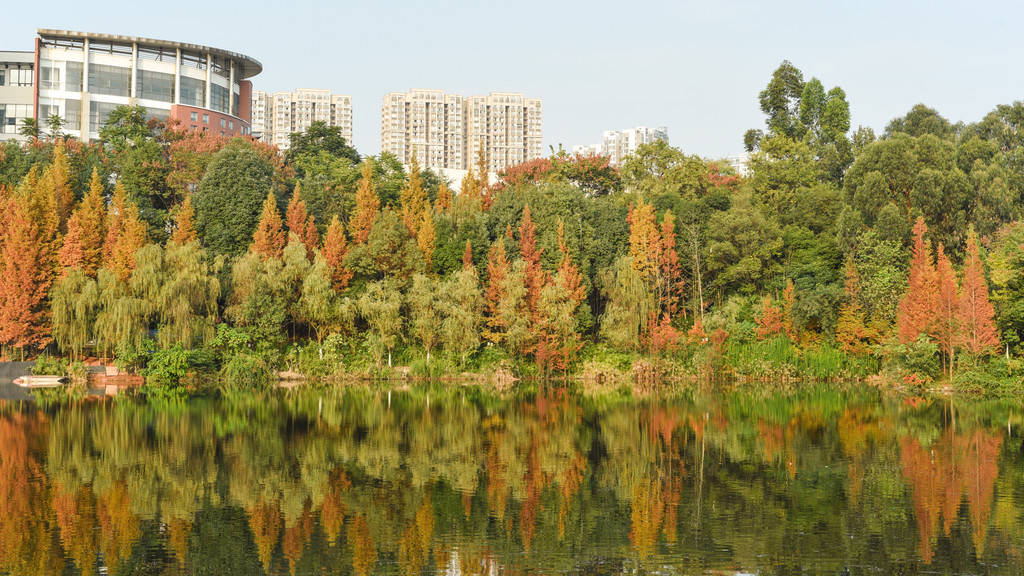 åå·å¸èå¤§å­¦æ ¡å­å½©æ