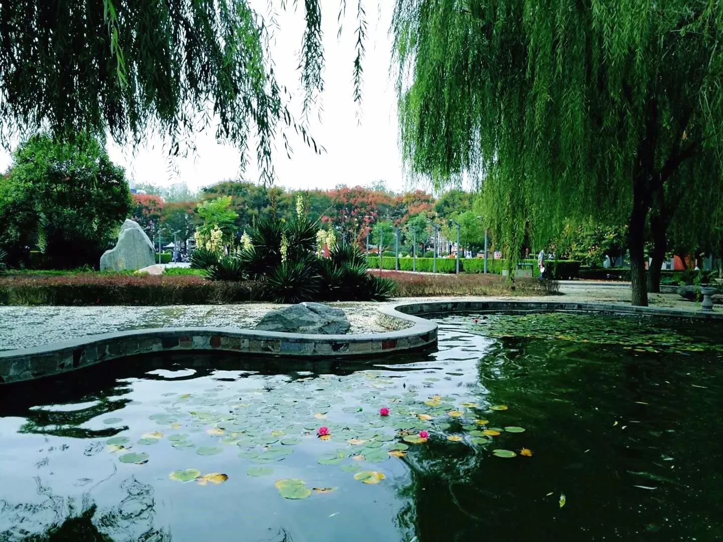 å¾é ç§ææµ,éå¤§ç§åç¾å¦ç»