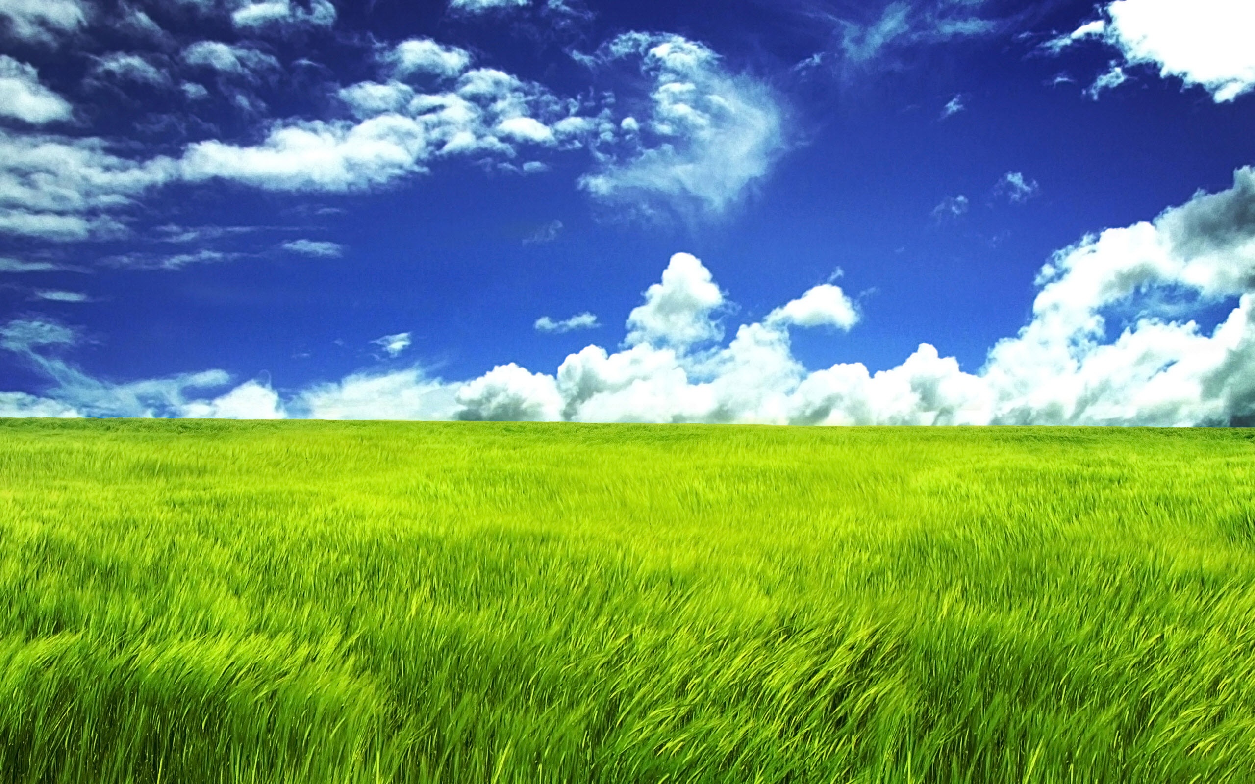 æ¤ç¼é«æ¸
飿¯å£çº¸æ¡é¢win7å£çº¸ ç²¾ç¾å£çº¸ 髿¸
å£çº¸ 宽å±å£çº¸ win8å£çº¸