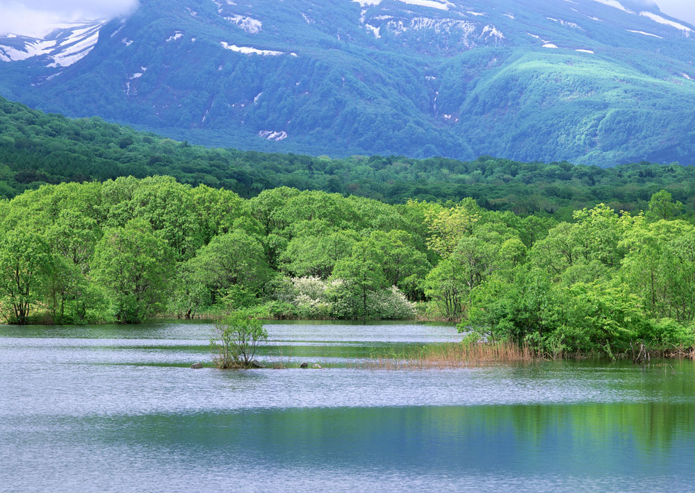 å±±æ°´åªå½±å¾ç èªç¶é£æ¯å¾,èªç¶é£æ¯,å±±æ°´åªå½±