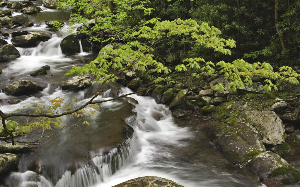 ç°çº³è¥¿å· 大çå±±å½å®¶å
¬åå¾çå£çº¸ 47 stream great smoky mountains national park tennessee