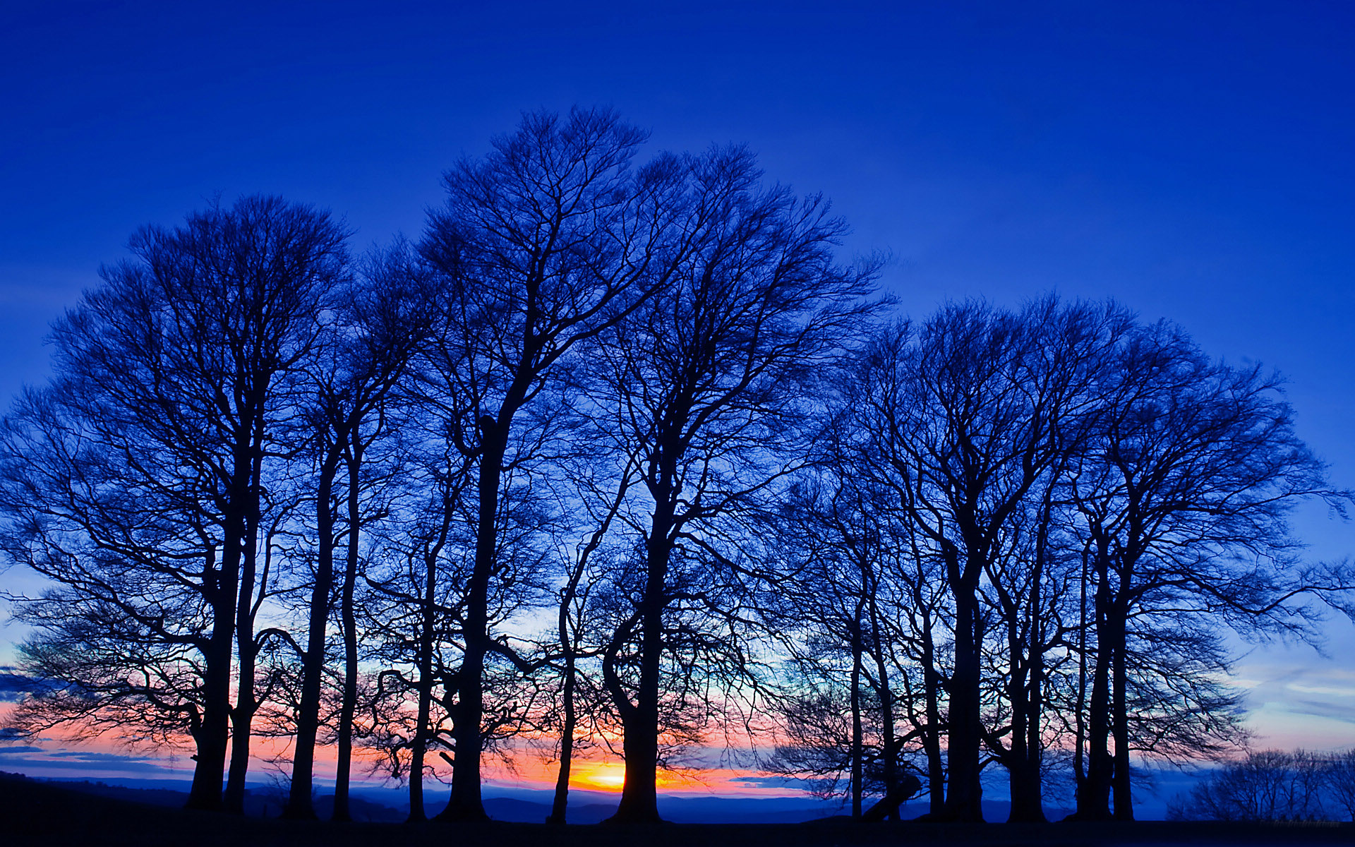 å¤é³é£æ¯å®½å±æ¡é¢å£çº¸