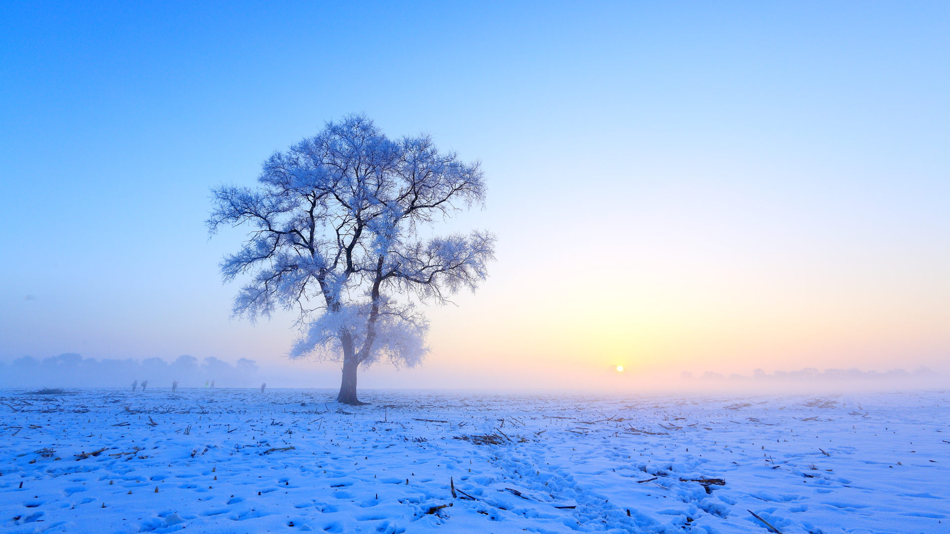 éª,å¬å¤©åç»å¤§å°çæè¯