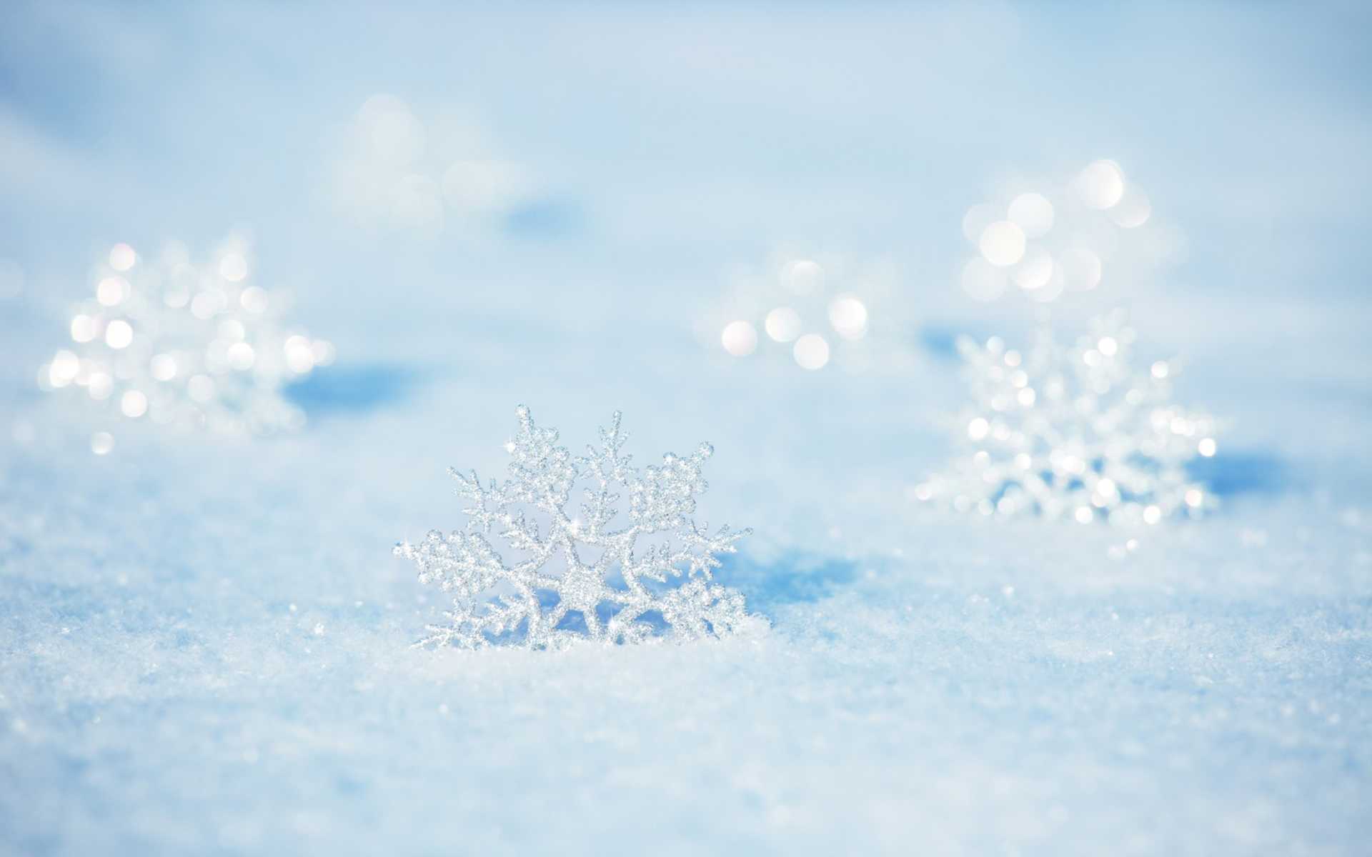 éªè±å°è±å¯ç¾èæ¯ç´ æå¾çå¤§å¨ éªè±ç©ºä¸­ç¿©ç¿©èµ·èä½ æå
