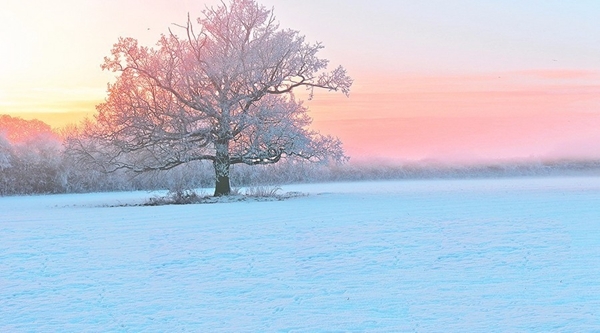 å¬å¤©å¯ç¾éªæ¯