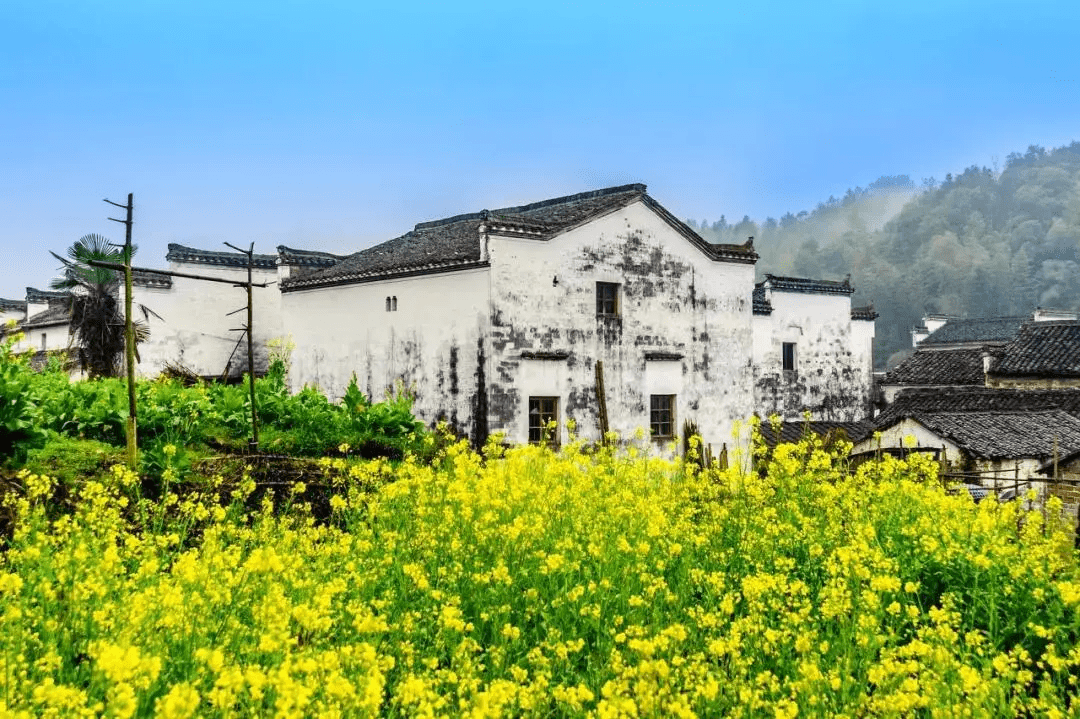 è¿ææ¯æ¥å¤©æå¼å¾å»ç20ä¸ªå°æ¹,å¨é¨ç¾å°çªæ¯