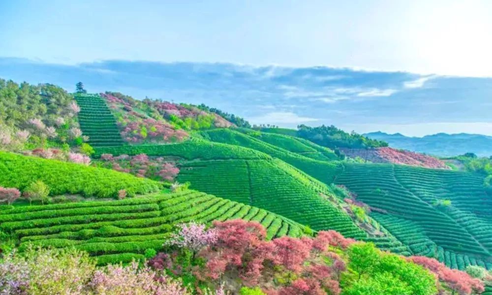 é»é¦è¯ä½å§,è±ç¾åæå±±