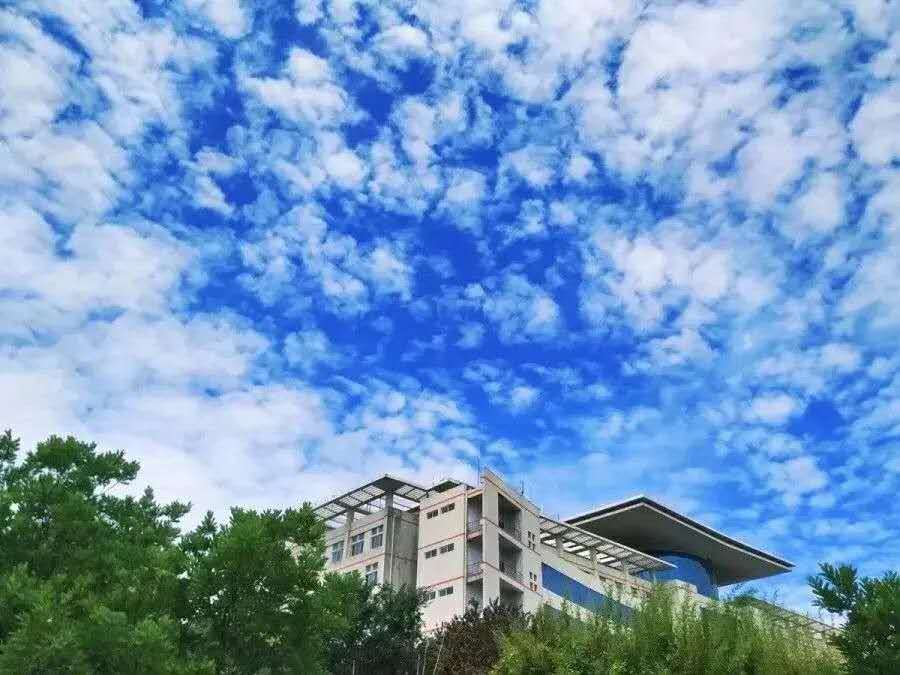 1598152333339757.jpg 微信图片_20200823092443.jpg