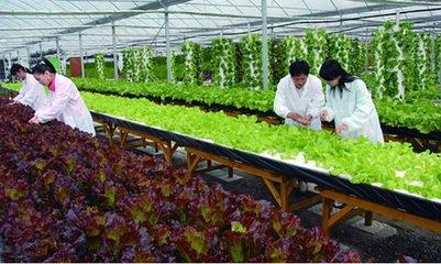农业经济管理(management of agricultural economy)，.jpg