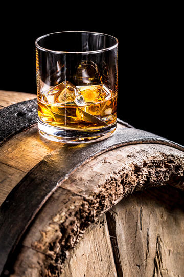 王楚钦假期陪爸妈逛动物园