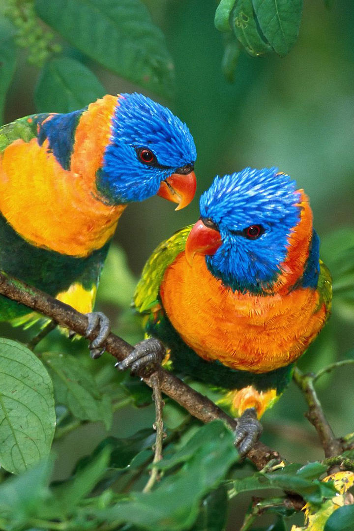 最新 设立200余个赌博平台！吸引全国33万人参与！细节披露→棋牌游戏- 棋牌游戏平台- 棋牌游戏APP下载