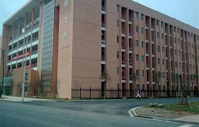 重庆市舞蹈学校是民办学校还是公办学校？