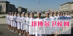 成都2024年卫校是干什么的