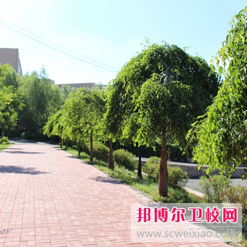 长春博泰医药中等职业学校网站网址