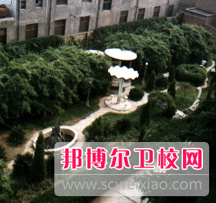 河南2020年初中读完能读哪些卫校