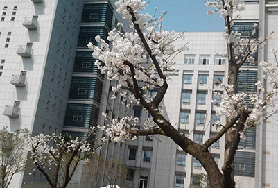  陕西机电职业技术学院汽车电子技术专业好不好