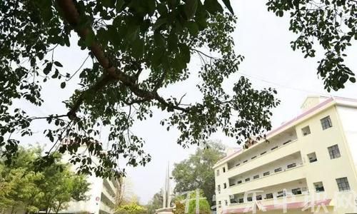 勐腊县职业高级中学