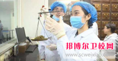 宁波2024年400分能上卫校吗