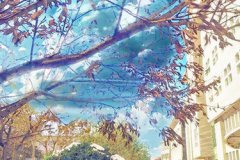 眉山药科职业学院2024卫校学费一年多少钱