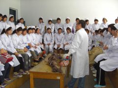  2024年四川省卫校的招生条件出来了
