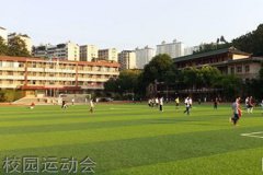 成医护理学校单招2024年招生简章