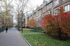 四川大学医学院二零二零2024年招生简章