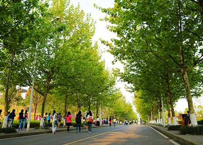  成都学院是民办学校还是公办学校？