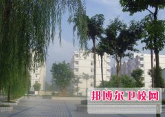 四川2024年卫校大专录取分数线