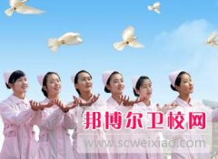 四川2024年卫校中专学校排名