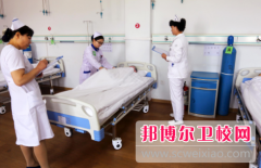 湛江2024年读卫校多少钱