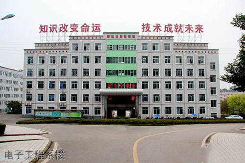 职高和中专怎么区别