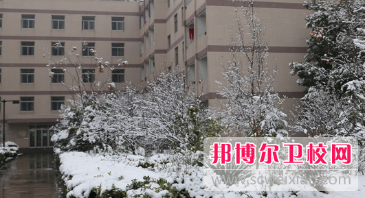 安徽2020年好一点的卫校大专学校