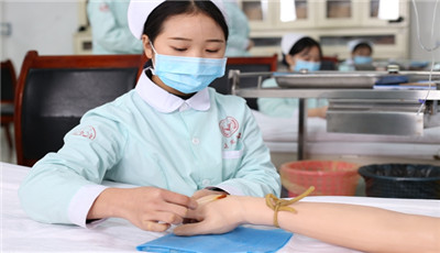 航空服务是专业类别
