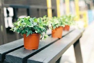 成都幼师大专学校学前教育专业如何呢