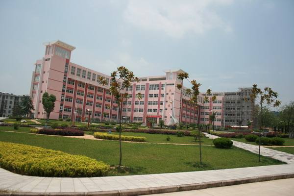 桐城师范高等专科学校网站网址